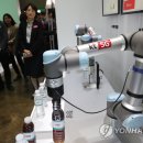 김영철컴퍼니 이미지