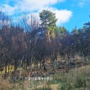 JY공인중개사사무소 이미지