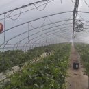 대류농장 이미지