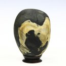 황금독수리