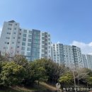 강정동-1 이미지