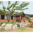 대나무집펜션 이미지