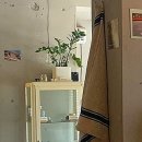 세탁쏘 이미지