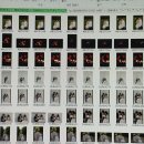 우리의 봄날 | W13. 💌 제주스냅 '우리의 봄날' 촬영 후기(내돈내산), 2인 작가 실내부터 밤바다까지!