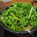 등촌샤브칼국수(주) 이미지