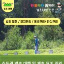 만물박사