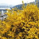 달맞이근린공원 이미지