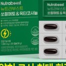 에이치비엘바이오