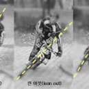 Cornering(코너링) 이미지