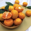 석희농장 이미지