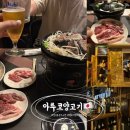 6260 | 삿포로 징기스칸 맛집 아루코 양고기 예약방법 현지인 로컬 느낌 대만족 후기