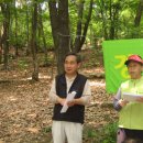 면천초등학교 이미지