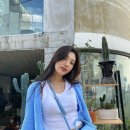 조이식물 이미지