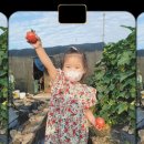 다영농장 이미지