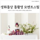 더모멘트스튜디오 | 생화돌상 사진 하남미사 스튜디오 모멘트스틸 돌촬영 후기(돌촬영 시기)