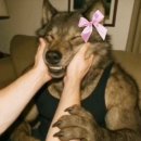 튼튼의원 이미지