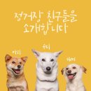 강아지 정거장 이미지