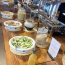 호텔 별 | 몽골여행 고비사막 투어 카라반세라이 호텔 후기 (+ 별/은하수 구경)