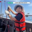 속초만선집 | 속초배낚시체험 장사항 아이랑 다녀온 솔직후기 준비물 멀미약