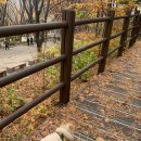 김호두 이미지