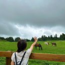 미스터멍 | 제주 서쪽 명소 성이시돌목장 미스터밀크, 우유부단 카페, 포토스팟