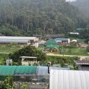 시례농장 이미지