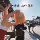 세븐일레븐 경주노서중앙점 | 경주여행 1일차/부제:초럭키여자의 하루