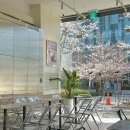 아우라지 관광지 이미지