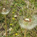 장구봉등산로 이미지
