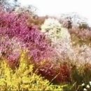 산너머남촌에는 이미지