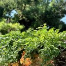 옥천동 9-5 이미지