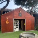 까페나무 | [고양시 예쁜 카페] "스토리 까페나무" 다녀온 후기! 너무 예쁜 카페!