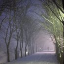 수 (수노래클럽) 이미지