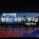 황령산유원지 생태숲 | 부산 황령산 유원지 생태숲 공 BIFC타워 뷰 가는법 포토존 주차장