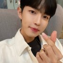 스테이 하하하 이미지