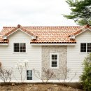 대지팜스 이미지