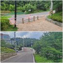김상률·손병헌 애국 | 영천 우로지 자연생태공원 둘레길 산책 및 우로지 자연숲 황톳길, 메타세쿼이아길 맨발걷기&amp; 별빛산책로...