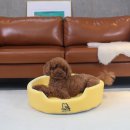 스윗테일 이미지