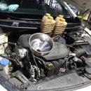 카데렐라 이미지