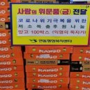 과일천사
