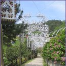 해맞이공원 입구 이미지