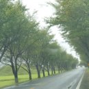 금척주유소 이미지