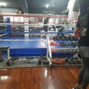 구룡복싱클럽 이미지