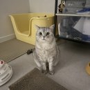 박지성축구센터(망포동) | MAR !! (나의 3월이 궁금해?)