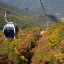 정선 가리왕산 케이블카 이미지