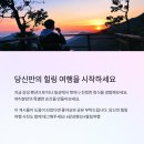 자연숲 펜션 이미지