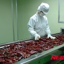영월농협 이미지