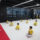 품 태권도 이미지