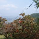 청도고속주유소 이미지