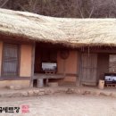 세담방 이미지